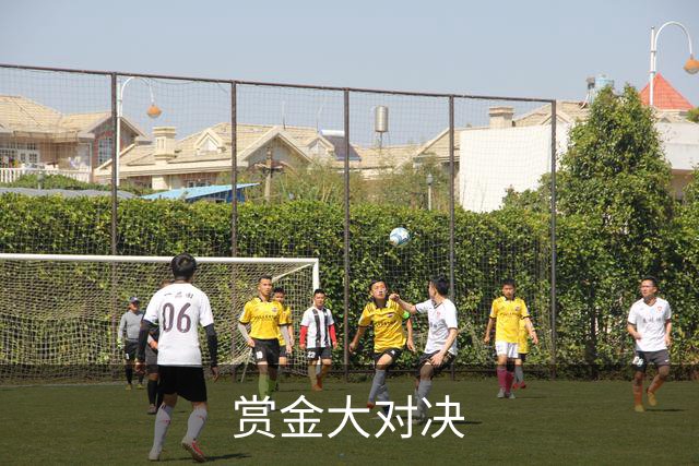 赏金大对决公司简介